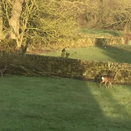 Peaceful Nidderdale *
